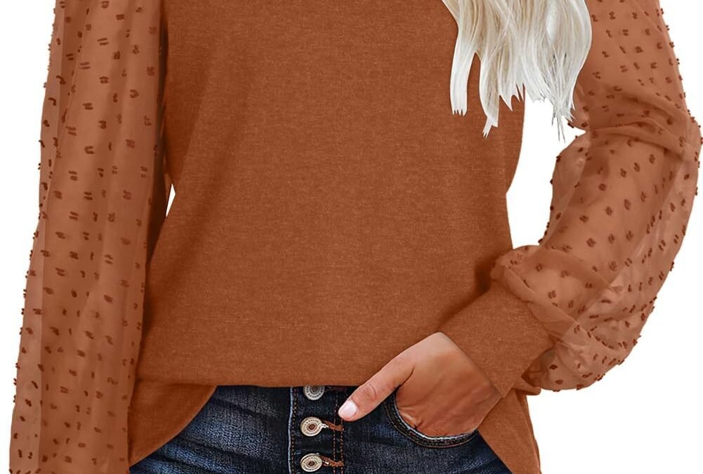 WIHOLL Long Sleeve Shirts for Women Tops Tunic Fall Trendy Crew Neck Clothes