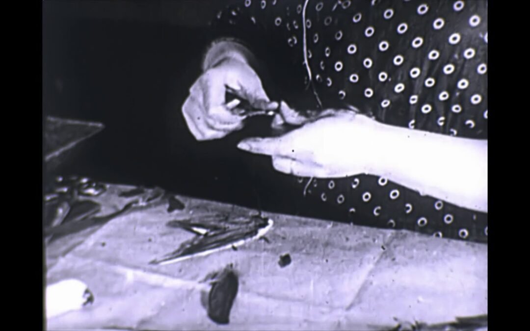 Les Oiseaux artificiels pour la mode / Artificial Birds as Fashion Accessories (1922)