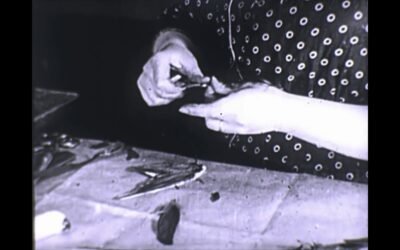 Les Oiseaux artificiels pour la mode / Artificial Birds as Fashion Accessories (1922)