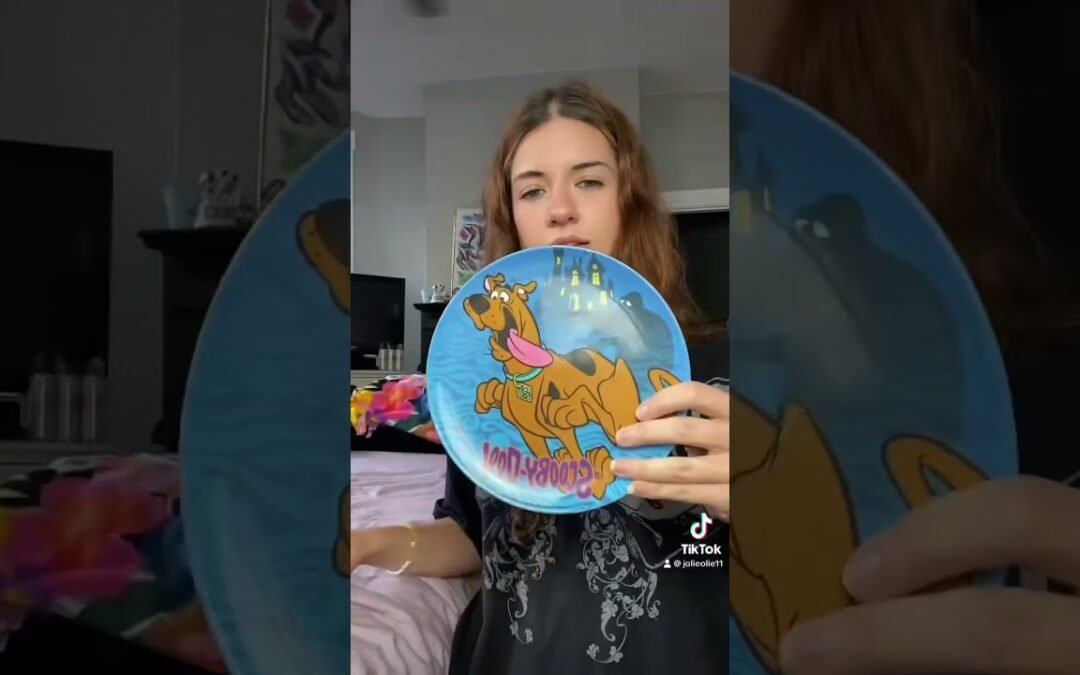 My Zak Designs plate collection! #zakdesigns #melamine #melamineplate #platecollection #vintage