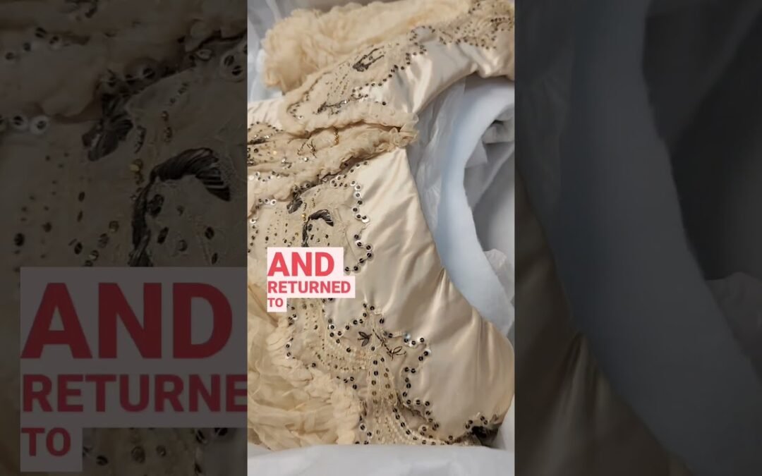 Take a look at this dress owned by Lou Henry Hoover from the 1900s! #reels #shorts #fashion