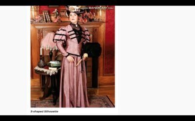 Early 1900s Fashion for Ladies A Dress That Flies