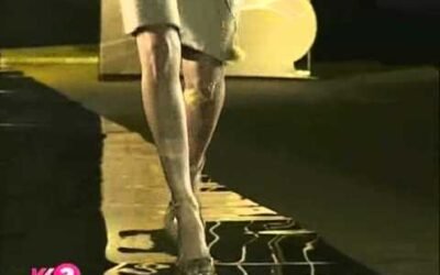 2010 Fashion Show design, designers, collection and modeling industry