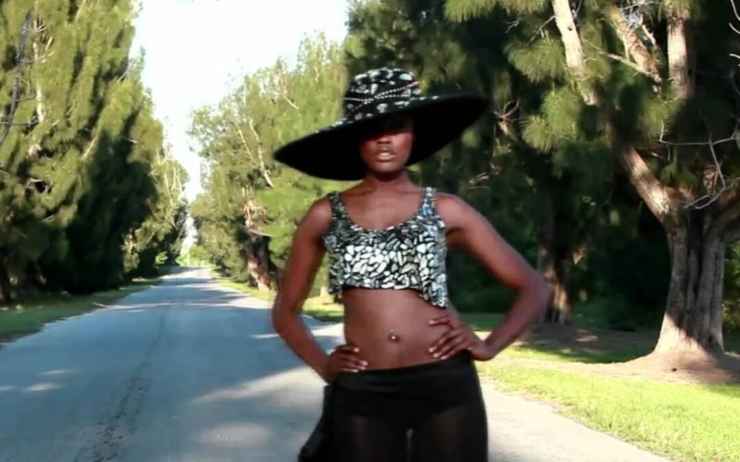 The Anthea English  2010 Hardour Fashion Collection Promotional