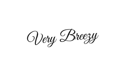 Very Breezy Is Hiring An Assistant For Upcoming Shopping Event In New York, NY – May 15 – 17